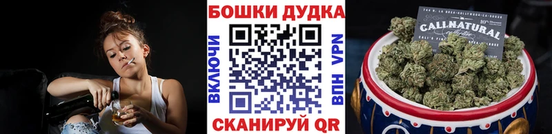  COCAIN Мезень