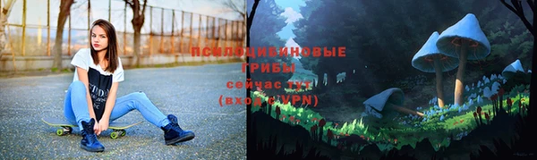 ALPHA PVP Краснослободск