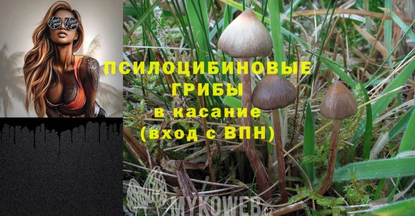 ALPHA PVP Краснослободск